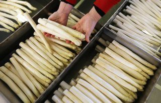 Aspergeteler+leunt+op+kennis+en+assortiment+collega%27s