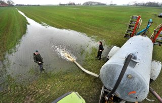 Meer+plasdras+voor+weidevogels+in+Friesland