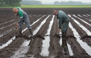 Waterschap+belooft+meer+grip+op+wateroverlast+Noordoostpolder