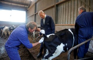 Verplichte+aanpak+IBR+en+BVD+start+in+april
