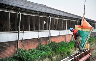 Melkveehouder+investeert+in+stalrenovatie