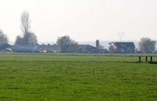 Baggerwerk+wellicht+veroorzaker+vogelgriepbesmetting