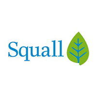 Squall