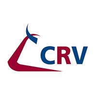 CRV
